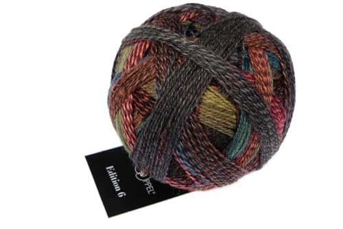 Schoppel Zauberball Edition 6 | 100% Wolle | Merinowolle fine für Nadelstärke 2 bis 3 mm | 50g Strickgarn zum Stricken oder Häkeln (2630 Regenbogenflecken) von Schoppel