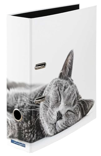 Samtpfote - Ordner Motiv Aktenordner Büro DIN A4 ca. 8 cm breit Karton Design Katze Entspannung weiß grau Samtpfote - Ordner Motiv Aktenordner Büro DIN A4 ca. 8 cm breit Karton Design Katze Entspannung weiß grau von Schreibgefühl