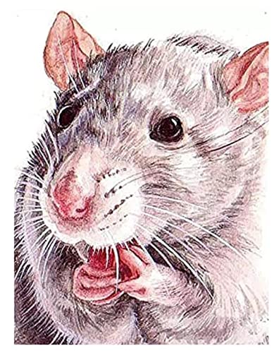 5D Diamant Painting Full Drill Set Maus Ratten Mäuse Hamster DIY Diamond Painting Kreuz Stich Diamond Dekoration für Home Wall Décor von Sdbey