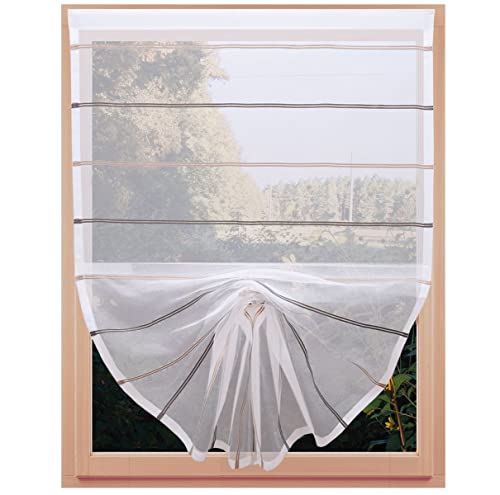 SeGaTeX home fashion Scheibenhänger Schwalbenschwanz Juna Organza in beige-braun Gardine mit Klettband 100 x 60 cm von SeGaTeX home fashion