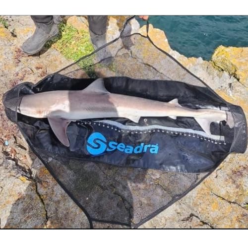 Seadra Wiegen und Messen Schlinge – Exemplar 120 cm von Seadra