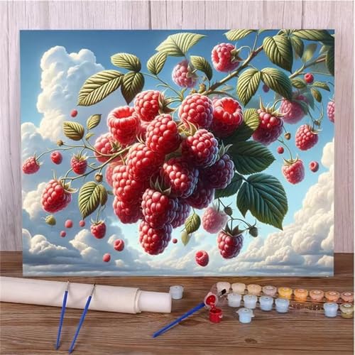 DIY Malen Nach Zahlen Erwachsene Fruchtwolke Paint by Numbers Kit mit Rahmen,mit Pinseln und Acrylfarben Handgemalt Ölgemälde für Home Décor Geschenk - 60x75cm von Senyanr