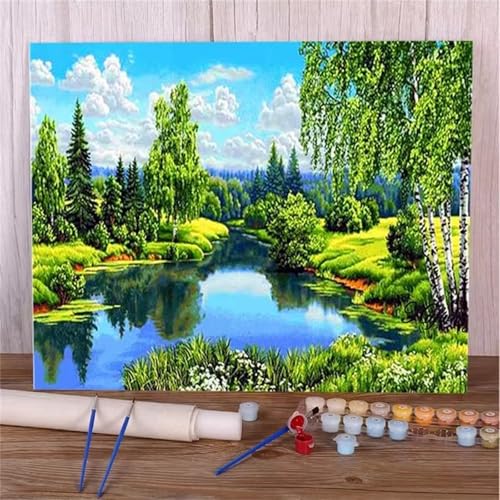 DIY Malen Nach Zahlen Erwachsene Grüne Landschaft Paint by Numbers Kit mit Rahmen,mit Pinseln und Acrylfarben Handgemalt Ölgemälde für Home Décor Geschenk - 45x60cm von Senyanr