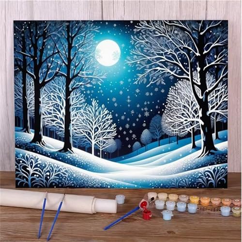 DIY Malen Nach Zahlen Erwachsene Mond Schnee Paint by Numbers Kit mit Rahmen,mit Pinseln und Acrylfarben Handgemalt Ölgemälde für Home Décor Geschenk - 30x40cm von Senyanr