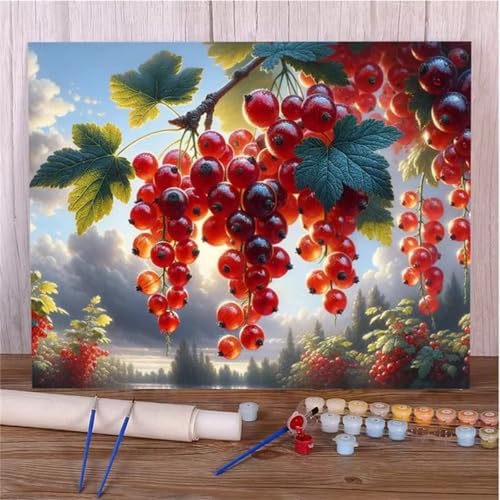 DIY Malen Nach Zahlen Erwachsene Obstlandschaft Paint by Numbers Kit mit Rahmen,mit Pinseln und Acrylfarben Handgemalt Ölgemälde für Home Décor Geschenk - 40x50cm von Senyanr