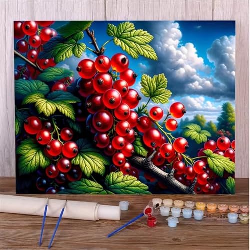 DIY Malen Nach Zahlen Erwachsene Rote Früchte Paint by Numbers Kit mit Rahmen,mit Pinseln und Acrylfarben Handgemalt Ölgemälde für Home Décor Geschenk - 45x60cm von Senyanr