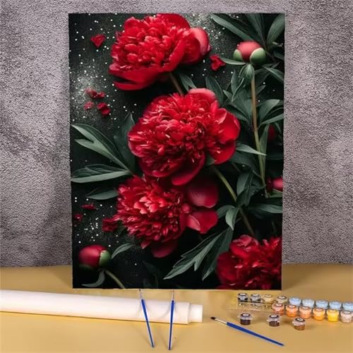 DIY Malen Nach Zahlen Erwachsene Rote Pfingstrosen Paint by Numbers Kit mit Rahmen,mit Pinseln und Acrylfarben Handgemalt Ölgemälde für Home Décor Geschenk - 60x75cm von Senyanr