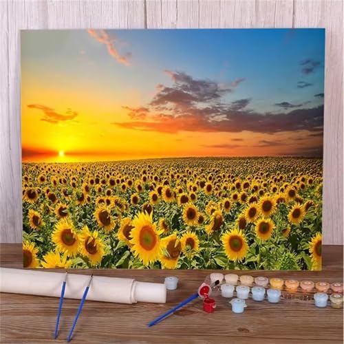 DIY Malen Nach Zahlen Erwachsene Sonnenuntergang Sonnenblume Paint by Numbers Kit mit Rahmen,mit Pinseln und Acrylfarben Handgemalt Ölgemälde für Home Décor Geschenk - 60x75cm von Senyanr