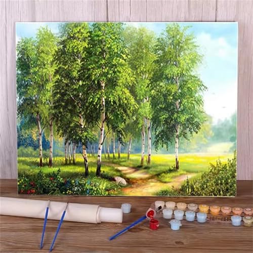 DIY Malen Nach Zahlen Erwachsene Wald Landschaft Paint by Numbers Kit mit Rahmen,mit Pinseln und Acrylfarben Handgemalt Ölgemälde für Home Décor Geschenk - 60x75cm von Senyanr