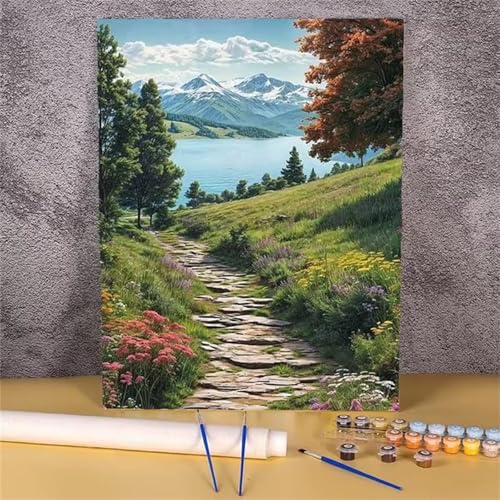 DIY Malen Nach Zahlen Erwachsene Wiesenweg Paint by Numbers Kit mit Rahmen,mit Pinseln und Acrylfarben Handgemalt Ölgemälde für Home Décor Geschenk - 55x70cm von Senyanr