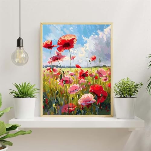 DIY Malen Nach Zahlen Set Rotes Gänseblümchen,DIY Mit Rahmen Leinwand Handgemalt Ölgemälde,Landschaft Paint by Number for Adults,Mit Pinseln und Acryl-Pigment,für Home Decor - 50x65cm von Senyanr