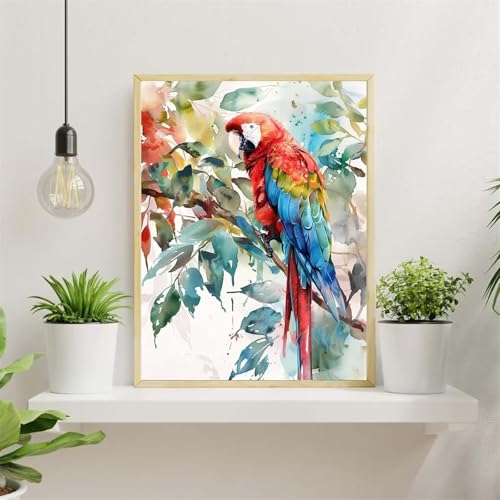 DIY Malen Nach Zahlen Set Tier Papagei,DIY Mit Rahmen Leinwand Handgemalt Ölgemälde,Vogel Paint by Number for Adults,Mit Pinseln und Acryl-Pigment,für Home Decor - 30x40cm von Senyanr