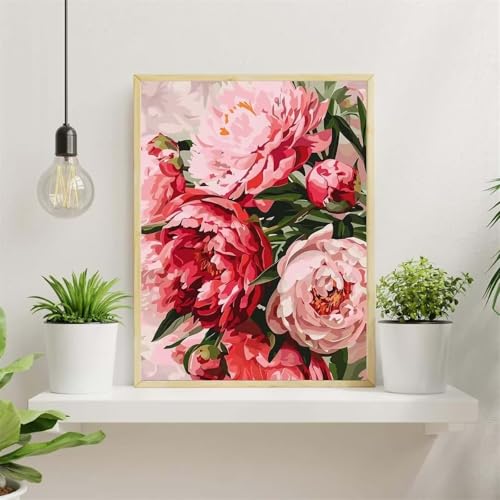 Malen Nach Zahlen Erwachsene,Schöne Blume Paint by Numbers,DIY Pfingstrose Handgemalt Ölgemälde Kit Mit Pinseln und Acryl-Pigment(Ohne Rahmen) für Home Decor - 60x75cm von Senyanr