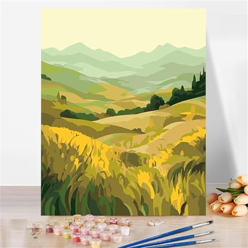 Malen Nach Zahlen für Erwachsene Grüne Landschaft,DIY Handgemalt Ölgemälde Leinwand Set,mit Pinseln und Acrylfarben Paint by Numbers Kits für Home Dekor Geschenk (Ohne Rahmen) 40x50cm von Senyanr