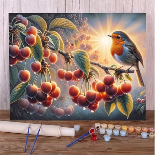 Malen Nach Zahlen für Erwachsene Obstvögel,DIY Handgemalt Ölgemälde Leinwand Set,mit Pinseln und Acrylfarben Paint by Numbers Kits für Home Dekor Geschenk (Ohne Rahmen) 30x40cm von Senyanr