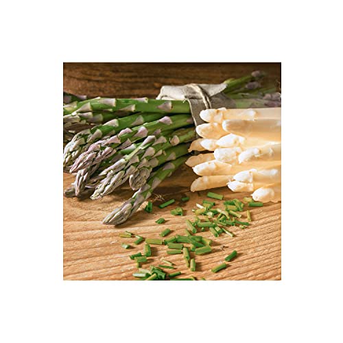 20 Servietten Spargel Spargelzeit 33cm von Serviette Frühling Sommer