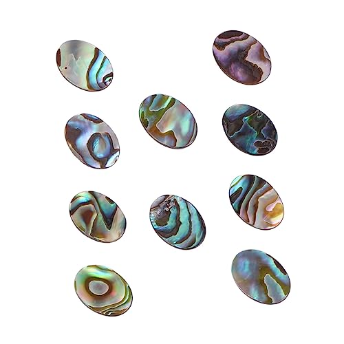 Sewroro 10St Ohrringe-Zubehör Handgemachte Schmuckzubehör Abalone-Perlen Bling-Ohrringe Perlen-Kits Perlen für Armbänder Abalone-Muschelperlen Charme Perlen Shell-Schmuckteile Colorful von Sewroro