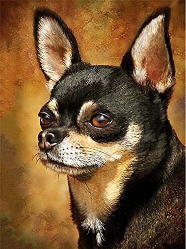 5D Diamond Painting, Diamond Painting Set, Diamant Malerei Erwachsene & Kinder, Wohnzimmer Schlafzimmer Büro Wand Und Eingang Dekoration-Chihuahua Hund Tier-40x50cm Rahmenlos von COLORIDO