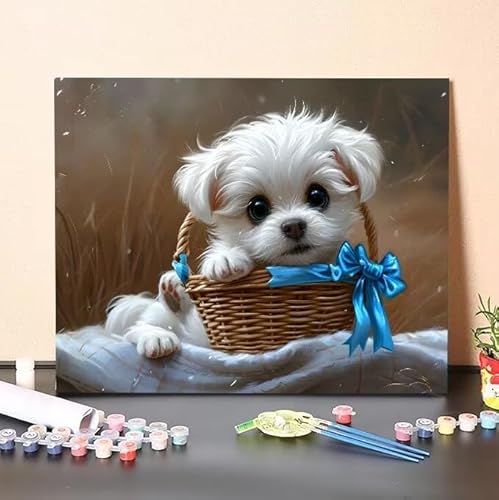 Hund Malen Nach Zahlen, Malen Nach Zahlen Erwachsene Tier, DIY Handgemalt Ölgemälde Kit für Anfänger und Kinder, Mit Pinsels und Acrylfarbe Als Geschenke und Heimdekoration, Ohne Rahmen 40x50 cm L155 von Shejyn