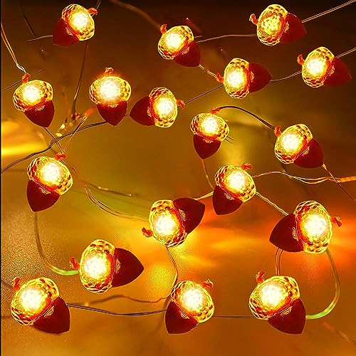 Herbst Eichel Lichterkette,2M 20 LEDs Eicheln Deko Lichterketten,Herbst Lichterkette,Herbst Deko LED Lichterkette,Lichterkette Batteriebetrieben,für Herbst,Erntedankfest,Halloween Party von Shengruili