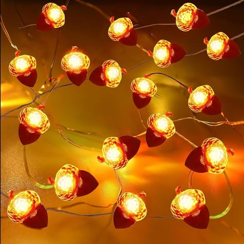 Herbst Eichel Lichterkette,5M 50 LEDs Eicheln Deko Lichterketten,Herbst Lichterkette,Herbst Deko LED Lichterkette,Lichterkette Batteriebetrieben,für Herbst,Erntedankfest,Halloween Party von Shengruili