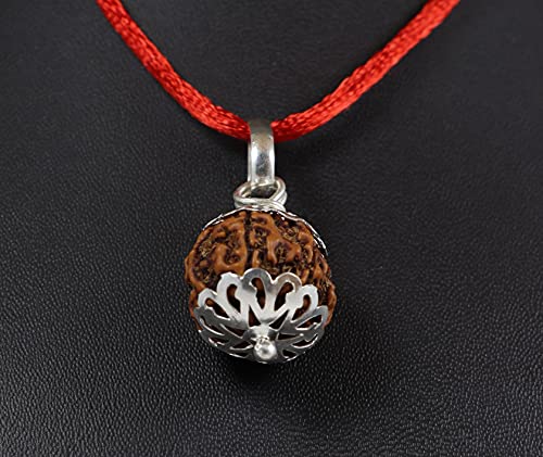 ShivaRatna 3-4-5-6-7 Mukhi Nepali Rudraksha Made in Pure Silver Cap - Laborzertifiziert (handverlesene, gereifte Perlen) natur (6 Mukhi Rudraksha) von ShivaRatna