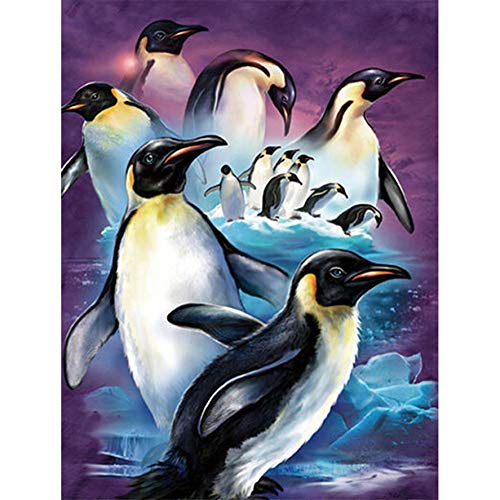 Showker 5D Diamant Painting Bilder Pinguin, DIY Diamond Painting Bilder Zubehör Runde Diamond Kreuzstich Stickerei Dekoration Schlafzimmer Büro Home Wandbild 40x50cm 429 von Showker