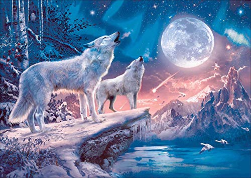 Showker DIY Diamant-Stickerei-Set, komplett, Mond Wolf, 5D Diamond Painting, komplett, Meteor, Tier, rund, Kreuzstich, Stickerei, Dekoration, Zimmer, Büro, Wand zu Hause, 30 x 40 cm von avasee