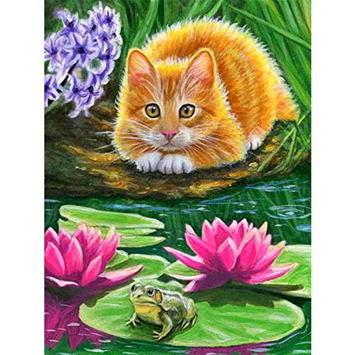 Showker 5D Diamant Painting BilderKatze Kätzchen Lotustiere, DIY Diamond Painting Bilder Zubehör Runde Diamond Kreuzstich Stickerei Dekoration Schlafzimmer Büro Home Wandbild 30x40cm von Showker