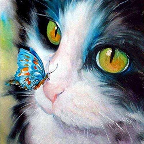 Showker 5D Diamant Painting BilderKatze Kätzchen Schmetterlinge Tiere, DIY Diamond Painting Bilder Zubehör Runde Diamond Kreuzstich Stickerei Dekoration Schlafzimmer Büro Home Wandbild 35x35cm von Lulizzie