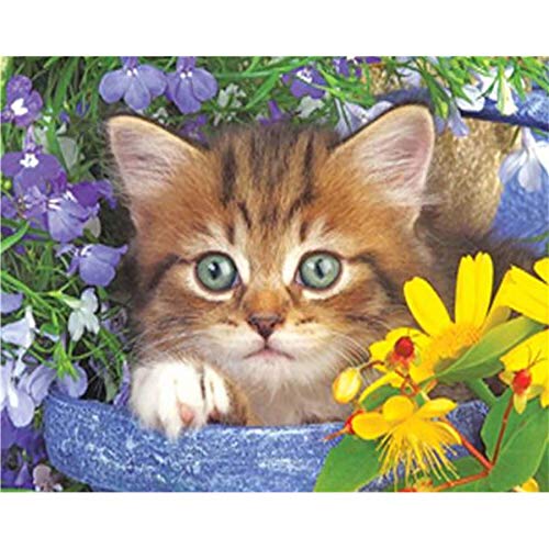 Showker 5D Diamant Painting BilderKatze Kätzchen Tiere, DIY Diamond Painting Bilder Zubehör Runde Diamond Kreuzstich Stickerei Dekoration Schlafzimmer Büro Home Wandbild 30x40cm von Showker