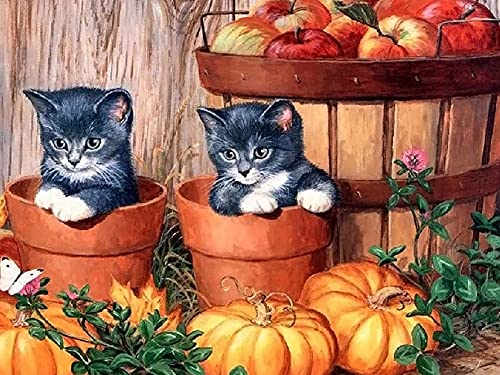 Showker 5D Diamant Painting BilderKürbis Katze Halloween, DIY Diamond Painting Bilder Zubehör Runde Diamond Kreuzstich Stickerei Dekoration Schlafzimmer Büro Home Wandbild 30x40cm von Showker