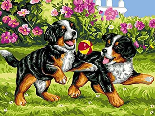 Showker 5D Diamant Painting BilderTier Hund, DIY Diamond Painting Bilder Zubehör Runde Diamond Kreuzstich Stickerei Dekoration Schlafzimmer Büro Home Wandbild 30x40cm von Showker