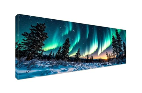 5D Diamant Painting Bilder, Diamond Painting Aurora Forest Diamond Art Painting Set, Diamond Painting XXL Basteln Erwachsene, Stickerei Kreuzstich Diamant Malerei, Room Decor Wohnwand 250x100cm S-916 von Shozhoo