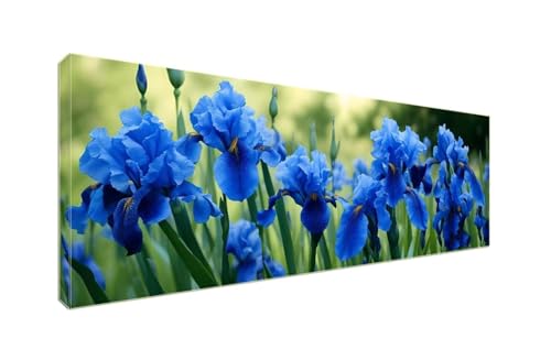 5D Diamant Painting Bilder, Diamond Painting Blaue Phönix Schwanz Blume Diamond Art Painting Set, Diamond Painting XXL Basteln Erwachsene, Stickerei Kreuzstich Diamant Kunst Malerei 250x100cm S-944 von Shozhoo