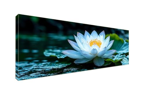 Diamant Painting Bilder, Diamond Painting Lotus White Diamond Art Painting Set, Diamond Painting XXL Basteln Erwachsene, Stickerei Kreuzstich Diamant Kunst Malerei, Room Decor Wohnwand 100x40cm S-964 von Shozhoo