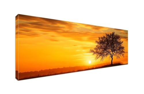 Diamant Painting Bilder, Diamond Painting Sunset Tree Diamond Art Painting Set, Diamond Painting XXL Basteln Erwachsene, Stickerei Kreuzstich Diamant Kunst Malerei, Room Decor Wohnwand 250x100cm S-45 von Shozhoo