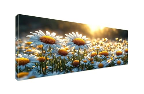 Diamond Painting Erwachsene Groß XXL 225x90cm Diamant Painting Bilder, 5D Sonnenuntergang Daisy Diamond Painting Kinder DIY Voll Diamant Malen Nach Zahlen, Cross Stickerei Malerei Kits Wand Dekor S995 von Shozhoo