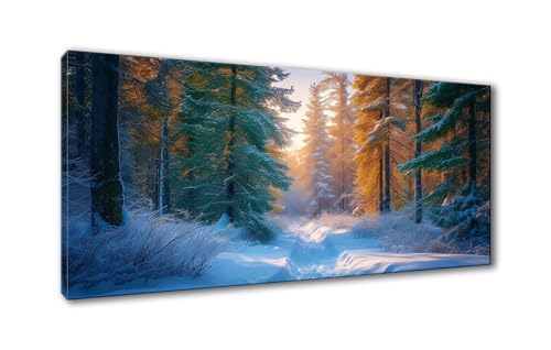 5D Diamond Painting Wald Diamond Painting Erwachsene Schneeszene Diamant Painting Bilder Kinder DIY Diamant Malerei Stickerei Kreuzstich Set für Home Wand Deko Geschenke für Frauen 30 x 60 cm Y-885 von Shueayin