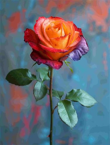 Diamond Painting Blume Diamant Painting Bilder Erwachsene Anfänger Rose, 5D DIY Diamond Art Eckige Steine, Diamanten Malerei Kunst Bastelset für Deko Wohnzimmer, Geschenke für Frauen 30 x 40 cm F-706 von Shueayin