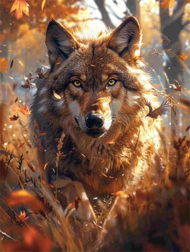 Diamond Painting Wolf Diamant Painting Bilder Erwachsene Anfänger Tier, 5D DIY Diamond Art Eckige Steine, Diamanten Malerei Kunst Bastelset für Deko Wohnzimmer, Geschenke für Frauen 30 x 40 cm F-778 von Shueayin