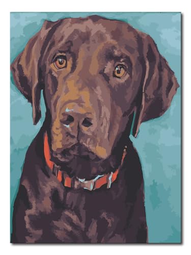 Shukqueen Malen nach Zahlen für Erwachsene, Ölgemälde nach Zahlen, Malen-nach-Zahlen-Set für Erwachsene, Anfänger, schwarzer Labrador, 16 x 20/40 x 50 cm (Holzrahmen zum Selbstaufbau) von Shukqueen