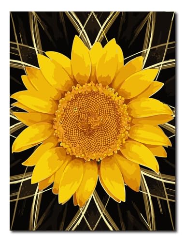 Shukqueen malen nach Zahlen für Erwachsene DIY Self-Self-Malerei nach Nummer Erwachsene Kit malen nach Zahlen erwachsenen Anfänger – goldene Sonnenblume 16 x 20/40 x 50 cm (Selbstmontage Holzrahmen) von Shukqueen