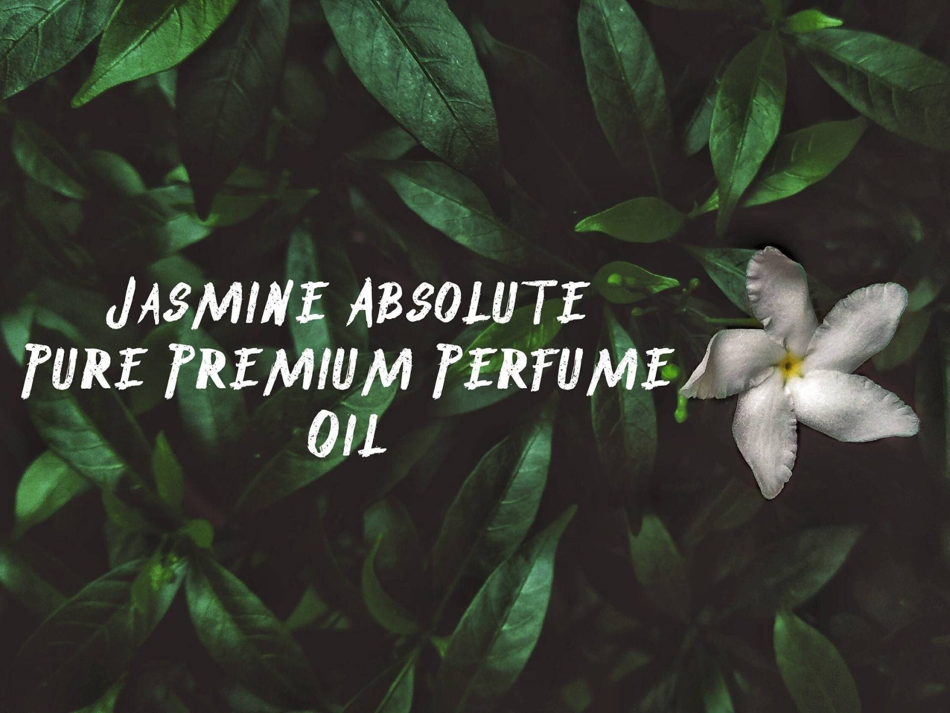 Jasmin Absolutes Premium Parfümöl | Auriculatum von ShukranAttars