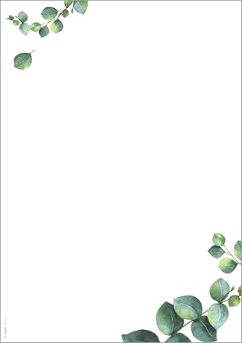 SIGEL DP626 Hochwertiges Motivpaper, Druckerpapier, Eukalyptus, grün, A4, 100 Blatt, Motiv beidseitig, 90 g/m², für Speisekarten, aus nachhaltigem Papier von Sigel