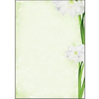 SIGEL Motivpapier Green Flower Motiv DIN A4 90 g/qm 25 Blatt von Sigel