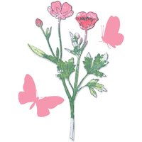 Sizzix Framelits Stanzschablone und Clear Stamps "Painted Pencil Botanical" von Silber