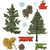 Sizzix Stanzschablone und Clear Stamps "Pine Holidays by 49 and Market" von Silber