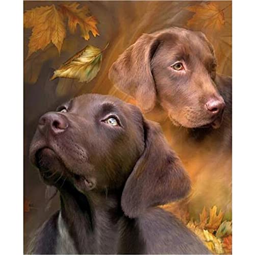 5D Diamant Malerei Erwachsene Kinder Set Labrador-Hund Diamant Painting Bilder Strass Stickerei Kreuz Stich Art Wohnzimmer Schlafzimmer Büro Wand Und Eingang Dekoration 40x50cm/16x20inch Square von SilkyShy