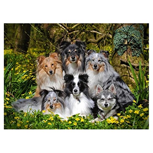 DIY 5D Diamant Malerei Kit Schäferhund Sheltie Diamond Painting Bilder Vollbohrer Diamant Gemälde Malen Nach Zahlen Diamant Stickerei Wall/Eingang/Büro Dekorationen Geschenk 25x30cm/10x12inch Round von SilkyShy